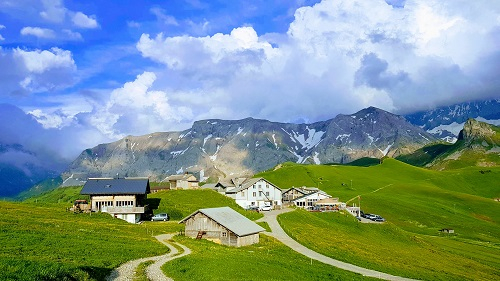 Hahnenmoos