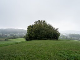 Gruppentreffen Mörsburg 16. Sep 2023